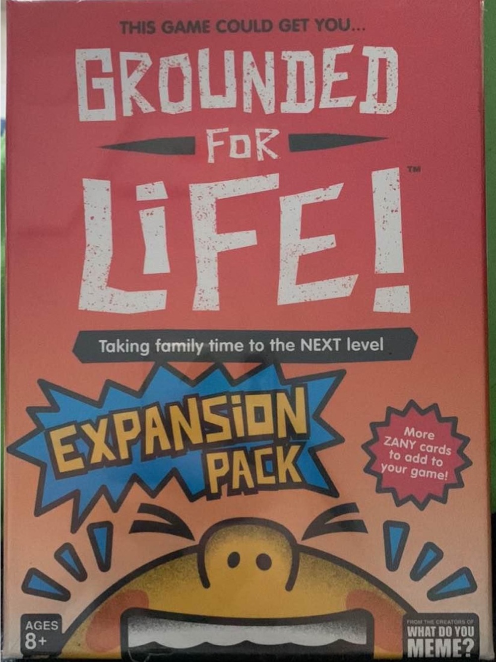 Grounded for Life! Expansion Pack - Orange Board Game Expansion